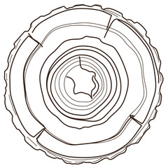 Hand Drawn Tree Log Cross Section Wood Ring Line Art