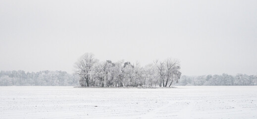 OLYMPUS DIGITAL CAMERA OMD Em 1 mk II © Janusz