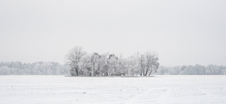 OLYMPUS DIGITAL CAMERA OMD Em 1 mk II