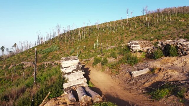 Slow motion aerial flyover over roadside logs leading into burnt forest hills at golden hour in Tenerife