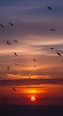 Sunset sky with flying birds outdoors.