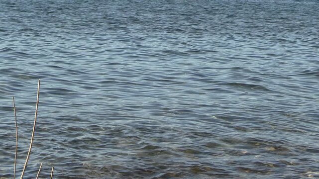 water and waves on lake caburgua, pucon, chile