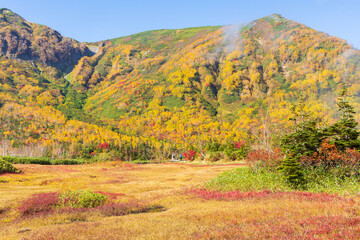 Fototapeta premium 日本の風景・秋 長野 紅葉の栂池自然園