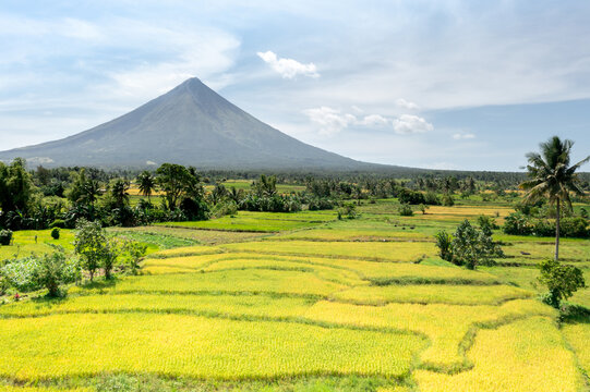 Aerial view of Mayon Volcano and surrounding fields, Albay, Philippines