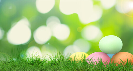 Easter eggs in green grass against blurred background