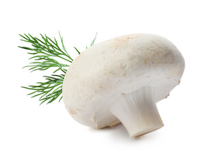 Fresh mushroom and dill on white background