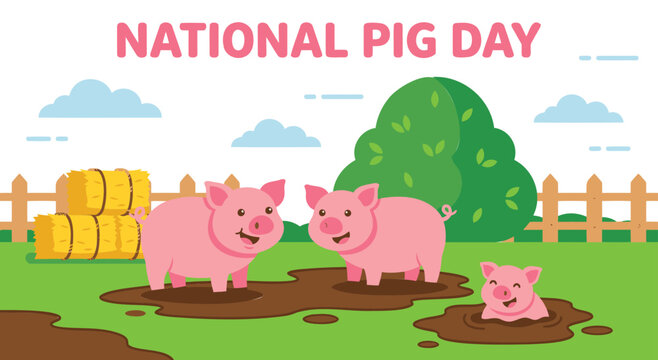 Adorable pink pigs and piglet playing in mud puddles on farm green field with hay bales and wooden fence for national pig day celebration concept banner flat vector design for domestic animals