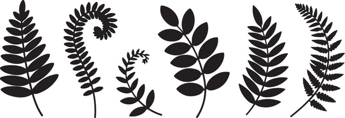 fern leaf silhouettes set minimalist vector illustration