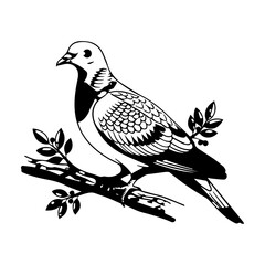 Obraz premium Extinct Passenger Pigeon of North America