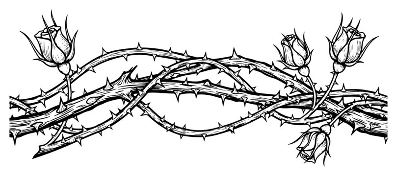 Seamless floral border with thorny rose stems and buds in detailed engraving style