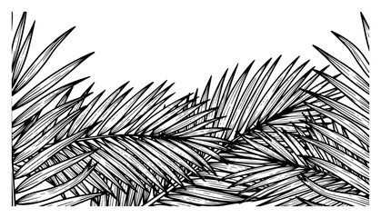Detailed palm leaves and tropical fronds frame in hand drawn engraving style © Aisha Kudorova