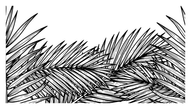 Detailed palm leaves and tropical fronds frame in hand drawn engraving style