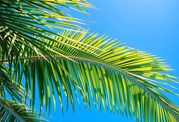 Fototapeta premium Lush green palm fronds sway gently against a vibrant blue sky, tropical background, tropical