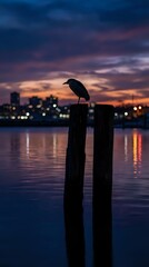 Fototapeta premium Bird silhouette perched on wooden post at sunset over calm water with city skyline and colorful sky reflections creating peaceful waterfront scene.