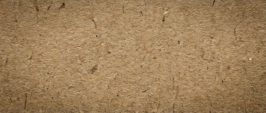 Cracked dry earth texture with natural fissures and weathered surface patterns for backgrounds and design projects.