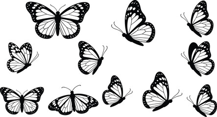 Butterfly illustrations collection, diverse wing patterns, black white insect art, detailed markings design, educational entomology inspiration, decorative wildlife nature artwork © Its Butterfly