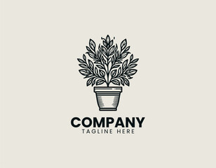 A potted ornamental houseplant with multiple leafy stems is presented in a clean minimalist line art vector illustration style on a white background suitable for botanical branding home decor graphics