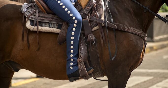 caballo, viejo, ensillar, cuero, barca, cuerda, bajel, cow-boy, antiguas, animal, botas, vaquero, hebillas, caf&eacute;, ecuestre, montar, administrar, pelicula del oeste, padrillo, negro, chacras, brida, ap