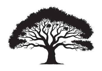Obraz premium Large ornamental tree silhouette with dense rounded canopy and thick trunk for nature themed compositions