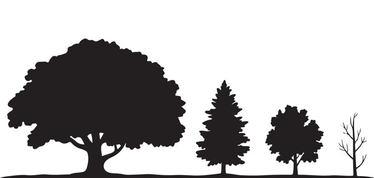 Silhouettes of different tree types, including deciduous and coniferous, against a white background