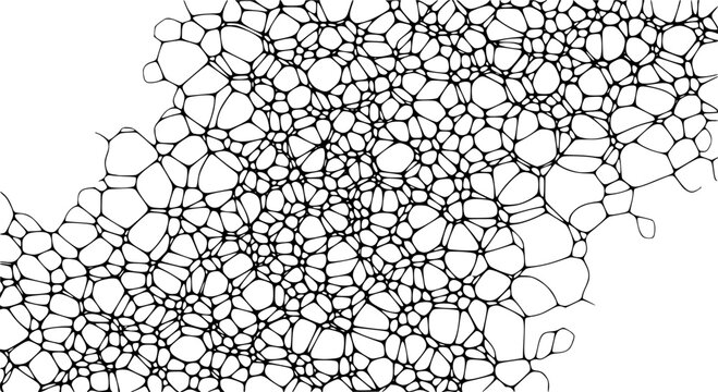 Abstract organic cell network pattern texture background digital art organic cellular structure vector
