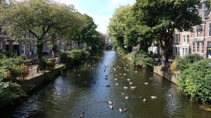 Fototapeta premium Tranquil Urban Canal Scene with Lush Green Trees and Ducks Swimming in Calm Water Under Clear Blue Sky in Charming City Landscape