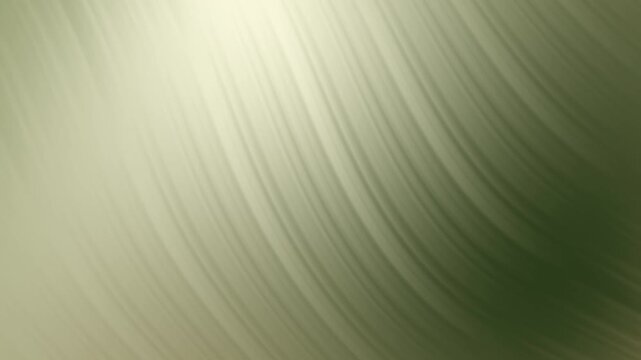 Olive Garden footage animation with botanical color palette and smooth transitions for modern design