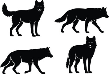 Fototapeta premium Wolf silhouettes set in different poses isolated on white background, black wild animal vector illustration collection for wildlife design and nature themed projects