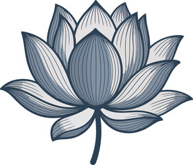 Obraz premium Stylized Blue Lotus Flower Vector Illustration with Detailed Petals and Stem for Wellness and Spa