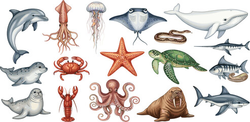Marine Sea Animals Illustration Set with Dolphin Whale Shark Turtle Octopus Crab and Jellyfish for Ocean Wildlife, Aquarium and Underwater Design © Selim Studio