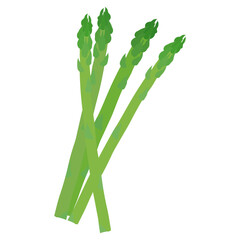 アスパラガスのベクターアイコン、葉物野菜のイラスト素材