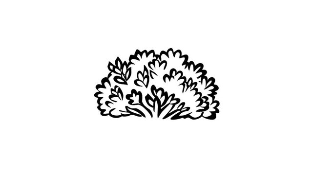 2D Animated bush illustration with simple hand drawn style. Ideal for nature scenes, background elements, explainer videos, educational content, and minimalist animation projects.