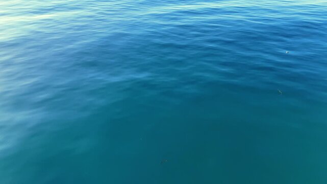 Cinematic drone flight over calm ocean water with bright sun glare and soft rolling ripples, minimal blue marine landscape background in serene daylight