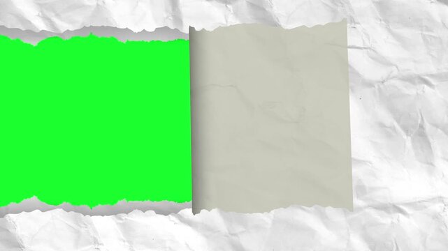 4k animated video of blank rough textured white paper tear on green background