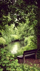 Tranquil park bench by a flowing stream.