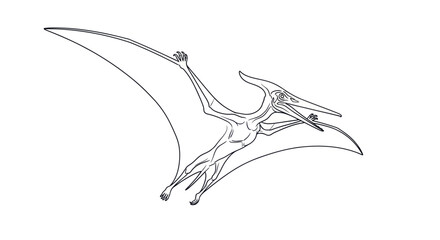 Pterodactyl Flying Reptile Prehistoric Creature. © Naswi