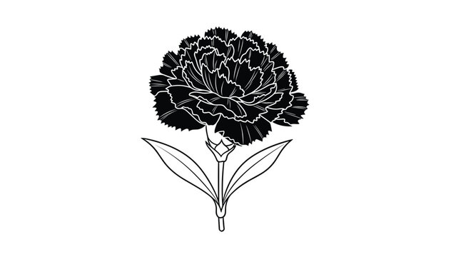 Detailed black and white carnation flower illustration with two leaves on a stem perfect for coloring or line art projects.