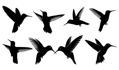 Obraz premium Collection of flying hummingbird silhouettes in dynamic poses isolated on white