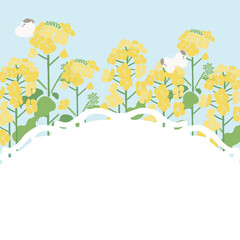 Textile Style Nanohana (Canola Flower) Vector Template (No Text) | Spring Floral Background Illustration
