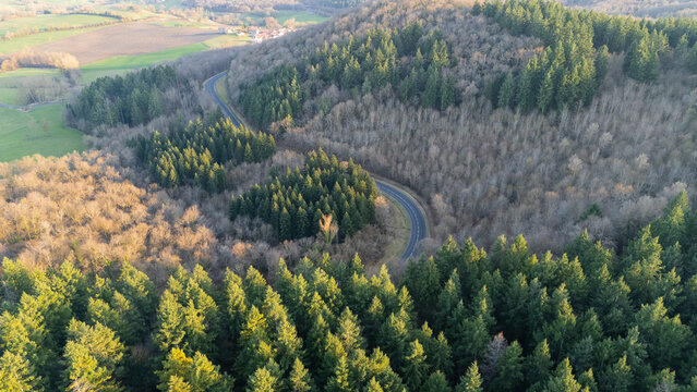 Vue a&eacute;rienne d'une route serpent&eacute; &agrave; travers une for&ecirc;t de conif&egrave;res 