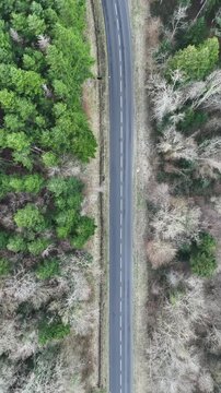 Vue drone d&rsquo;une route panoramique en for&ecirc;t