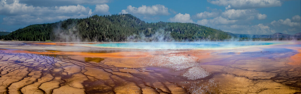 Vibrant geothermal colors and steaming terraces of Grand Prismatic Spring spread below the forested ridge under a bright summer sky.