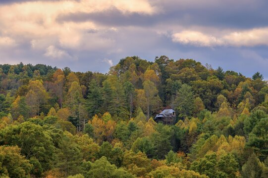 A rustic wooden cabin is nestled amongst a vibrant forest ablaze with the colors of autumn. The trees display a rich tapestry of greens, yellows, and oranges, indicating the peak of the fall season