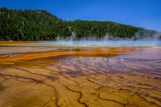 Color-rich microbial terraces stretch toward the turquoise waters of Grand Prismatic Spring, framed by forested hills and a clear summer sky.