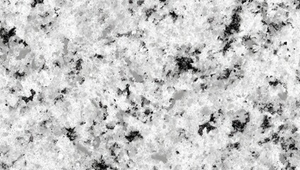 White and Black Speckled Granite Stone Texture