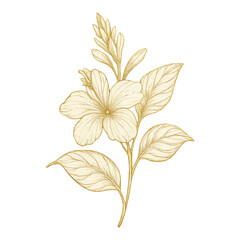 Fototapeta premium PNG Elegant gold floral illustration