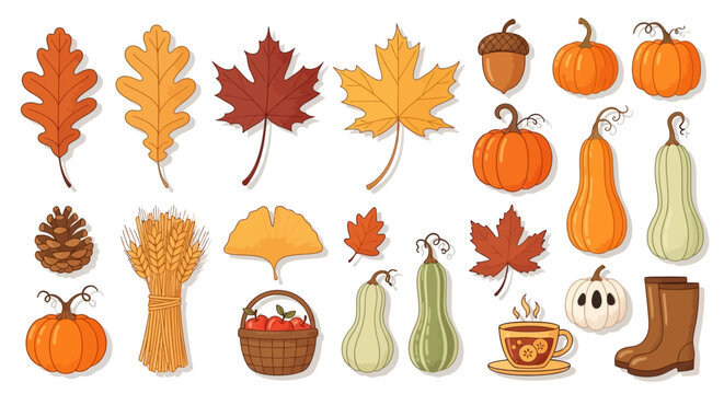 Autumn leaves and acorns with pumpkins in harvest season Halloween and Thanksgiving fall illustration vector nature decoration card design October celebration frame and gourd theme