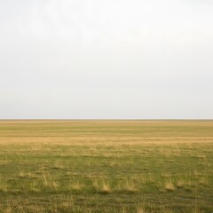Obraz premium Vast, Open Expanse of Prairie Grassland under Pale Sky, Horizontal View