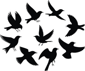 Obraz premium Flying bird silhouettes set black crow raven shadow collection wings spread isolated on white background illustration design
