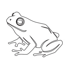 Fototapeta premium Simple Frog Line Art